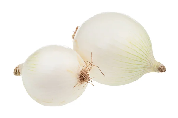 Dos bulbos de cebolla blanca madura aislados en blanco — Foto de Stock