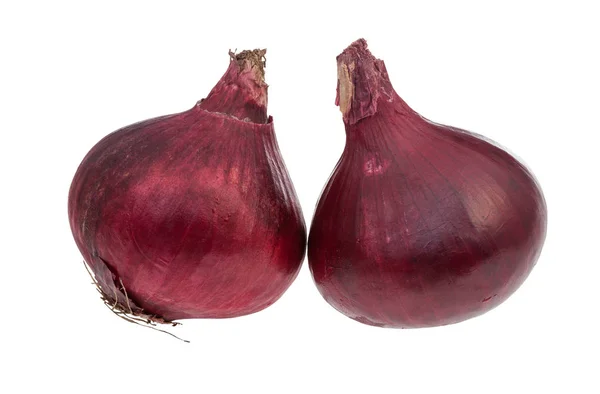 Seitenansicht von zwei Zwiebeln der reifen roten Zwiebel isoliert — Stockfoto