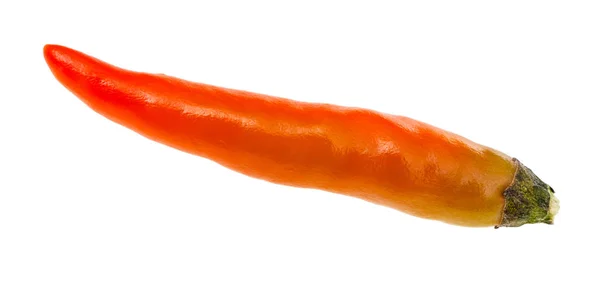 Один свежий апельсин спелый перец чили изолирован — стоковое фото