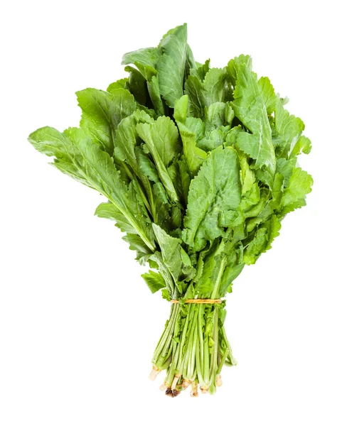 Bunch of fresh caucasian garden cress (tsitsmati) — Stock Photo, Image