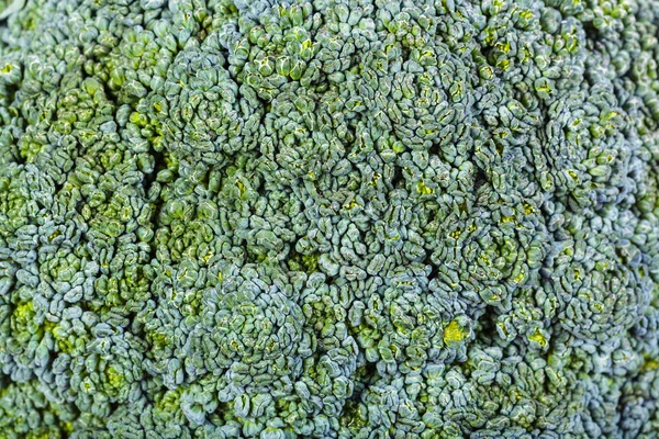 Lahana kafa yakın çekim taze brokoli çiçekleri — Stok fotoğraf