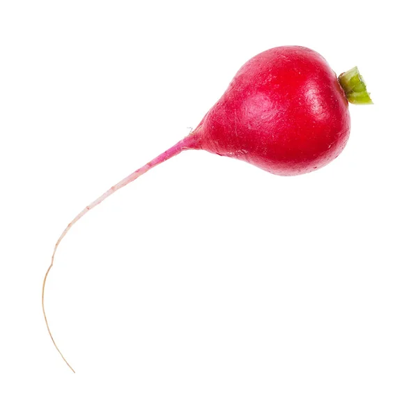 Свежий корень органической красной редьки изолирован — стоковое фото