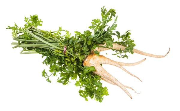 kökleri ve yeşillikleri ile bahçe maydanoz demet