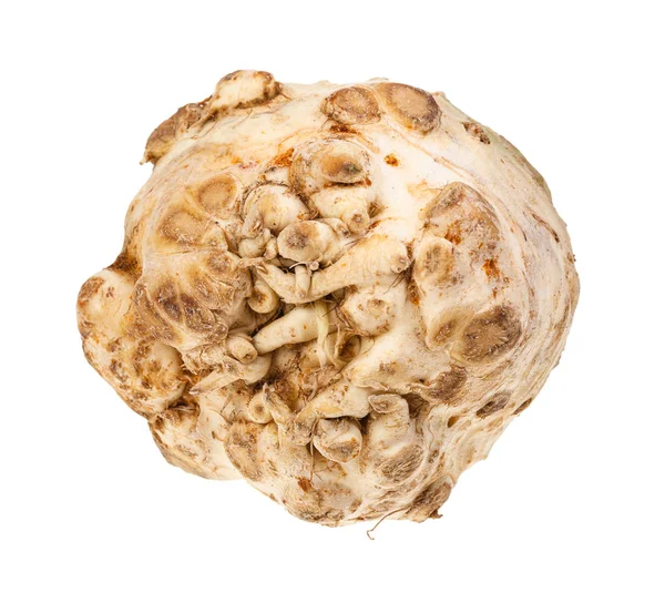 Fresh root of f celeriac ( knob celery) isolated — Stock Photo, Image