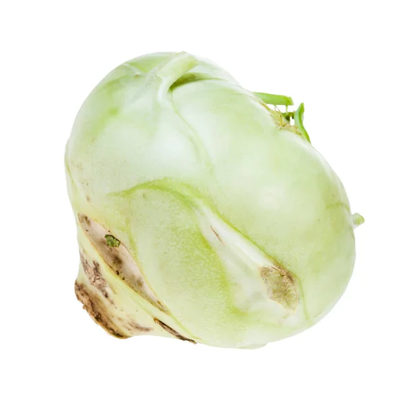Zralý kořen zelí Kedluben, izolovaný na bílém — Stock fotografie