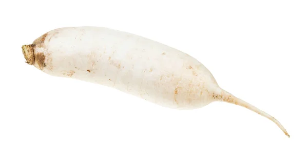 Färsk rot av Daikon lång vit rädisor isolerad — Stockfoto