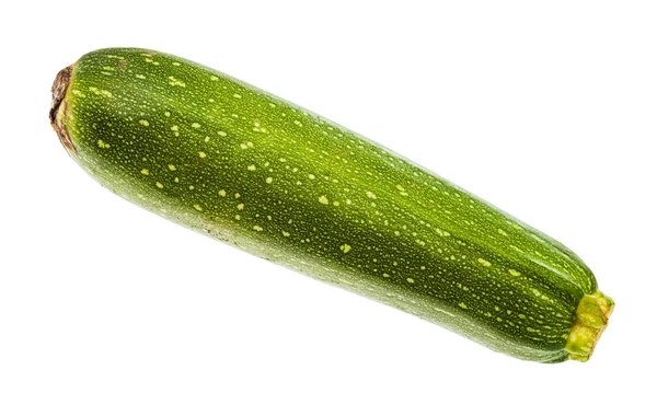 Enda grön zucchini grönsak isolerad — Stockfoto