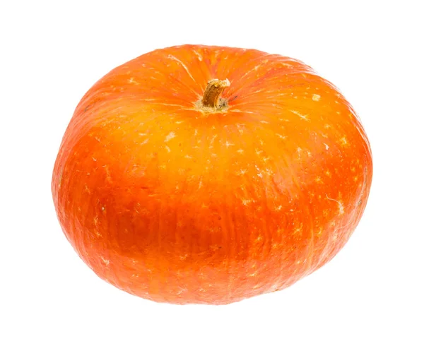 Única abóbora laranja madura isolada em branco — Fotografia de Stock