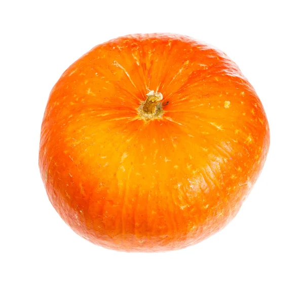 熟したオレンジのカボチャの頭は白い — ストック写真