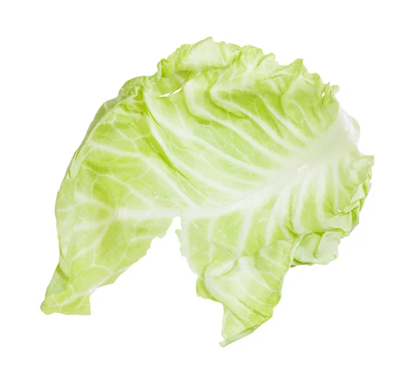 Rå blad av vitkål grönsaker isolerade — Stockfoto