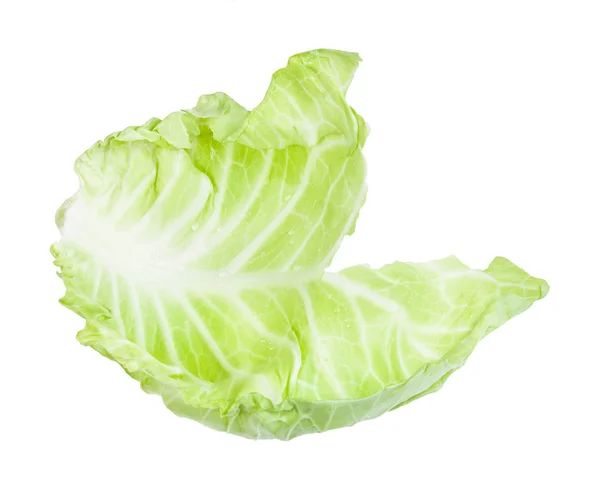Färskt blad av vitkål grönsaker isolerade — Stockfoto
