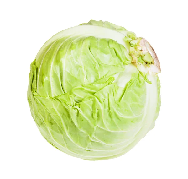 白で隔離された新鮮な白菜 — ストック写真