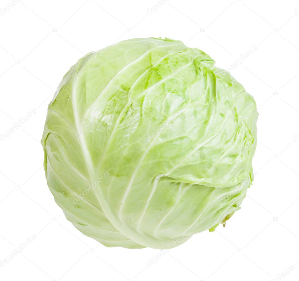 cabbagehead of white cabbage isolated on white