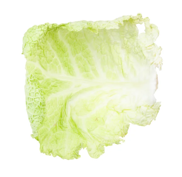 Свіжий лист савойської капусти овоч ізольований — стокове фото