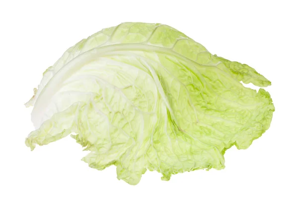 Pojedynczy liść sabaudzkiej kapusty warzyw na białym tle — Zdjęcie stockowe