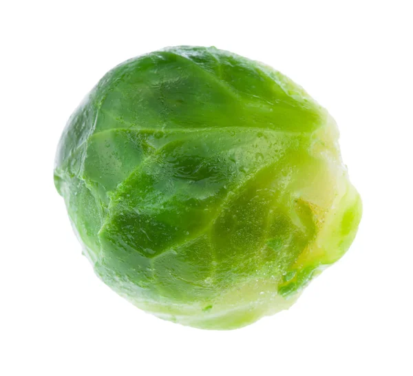 Natte groene rijpe Brusselse Sprout geïsoleerd op wit — Stockfoto