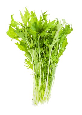 taze mizuna demet (Japon hardal yeşillikleri)