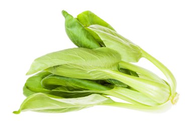 taze bok choy (pak choi) Çin lahana izole