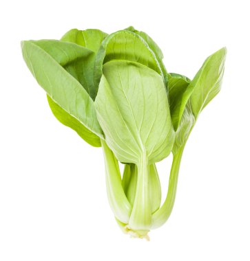 yeşil bok choy (pak choi) Çin lahana izole
