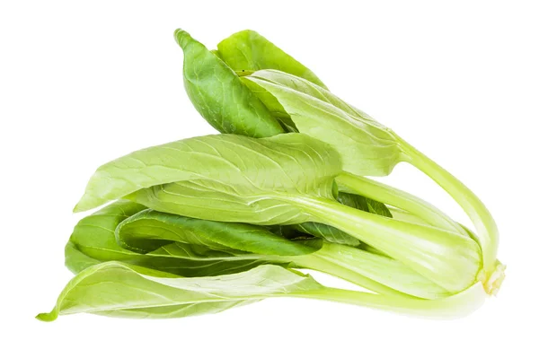 Bok choy fresco (pak choi) Repolho chinês isolado — Fotografia de Stock