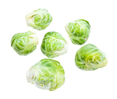 birkaç taze brüksel lahanası beyaz izole