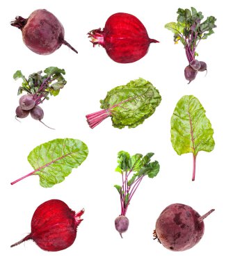 çeşitli pancar kökleri ve yeşillik beyaz izole