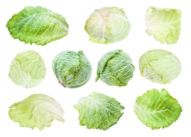 çeşitli yaprakları ve savoy lahana başları