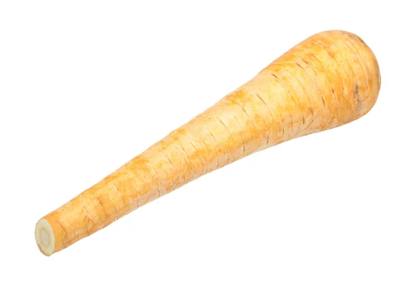 Ripe root of Parsnip (pastinaca sativa) isolated — Stock Photo, Image