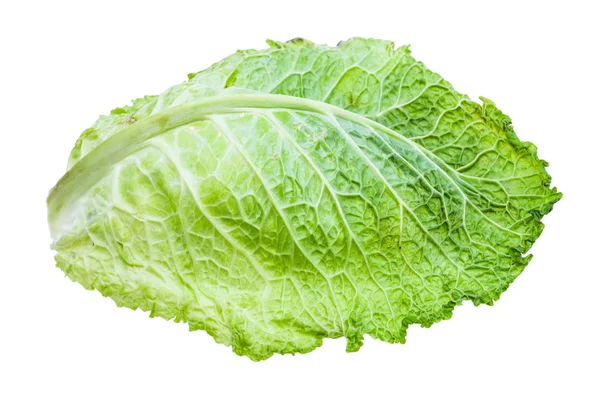 Green leaf of savoy cabbage isolated on white — Stock Photo, Image