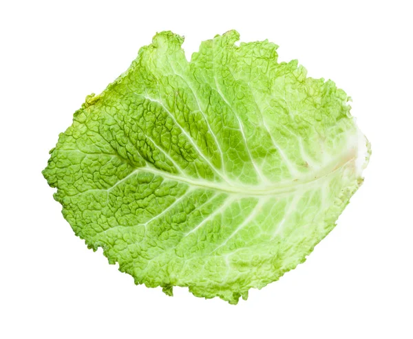 Back side of green leaf of savoy cabbage isolated — Stock Photo, Image