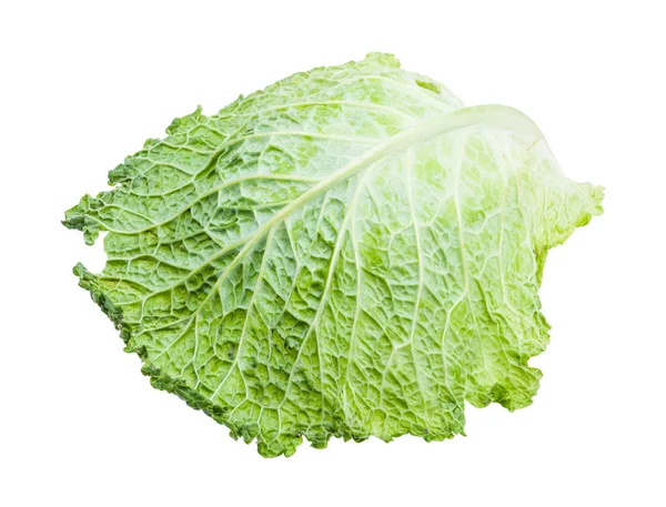 Single green leaf of savoy cabbage isolated — Stock Photo, Image