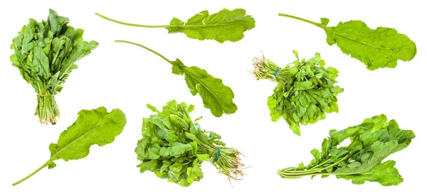 Various leaves of cress (tsitsmati) plant — Stock Photo, Image