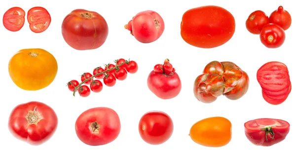 Various fresh tomatoes isolated on white — Stock Photo, Image