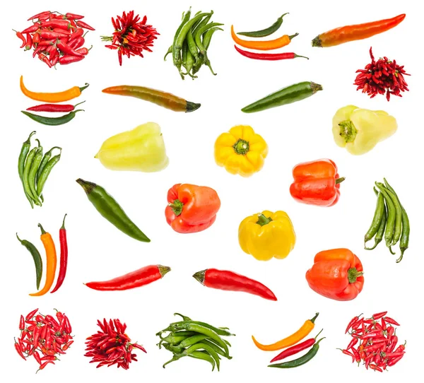 Various fresh pepper vegetables isolated on white — Stock Photo, Image