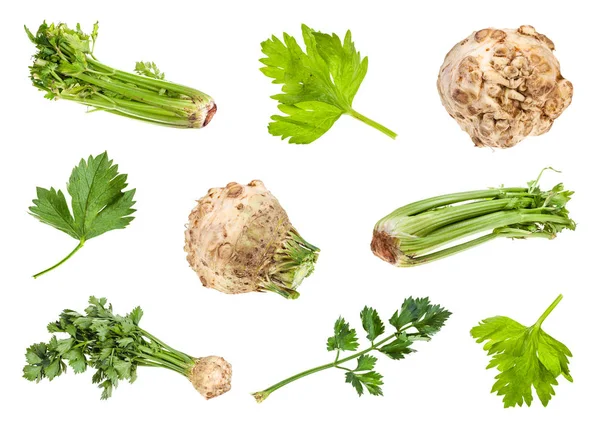 Verschillende wortels en greens van knolselderij en celery — Stockfoto