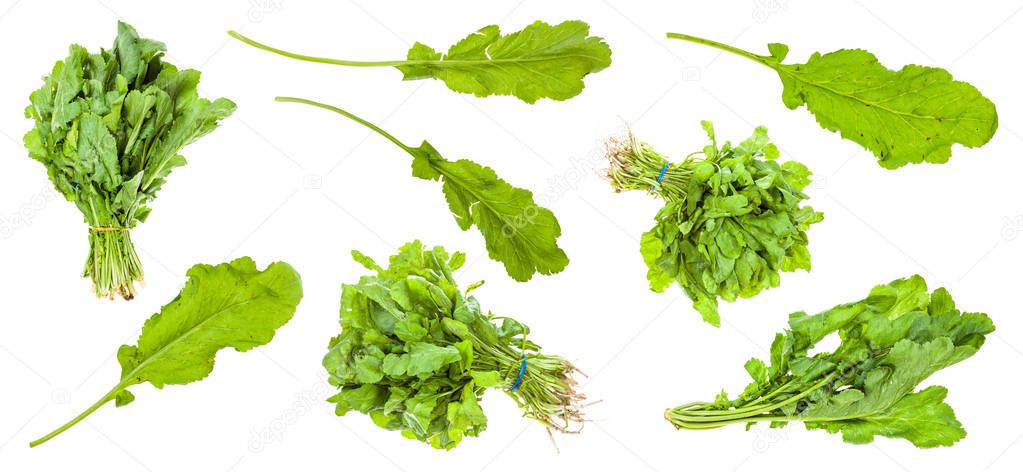 various leaves of cress (tsitsmati) plant