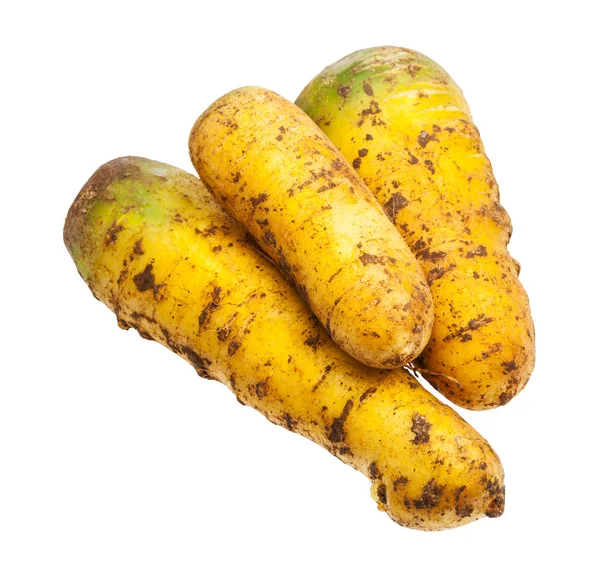 흰색에 고립 된 몇 가지 유기 우즈베키스탄 노란색 당근 — 스톡 사진