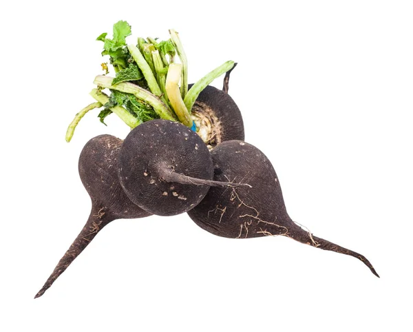 Bando de pequenos rabanetes pretos com verduras — Fotografia de Stock