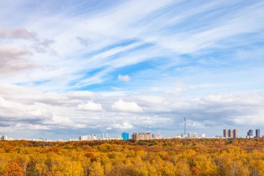 Sarı şehir parkının üzerinde beyaz bulutlu mavi gökyüzü