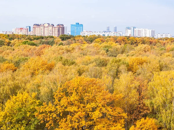 Żółty park miejski i domy miejskie jesienią — Zdjęcie stockowe