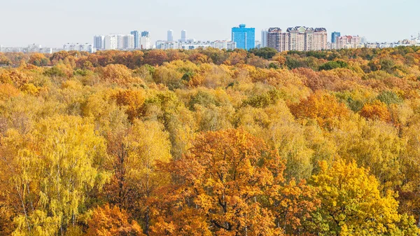 Panoramic view of yellow city park and buildings — Stock Photo, Image