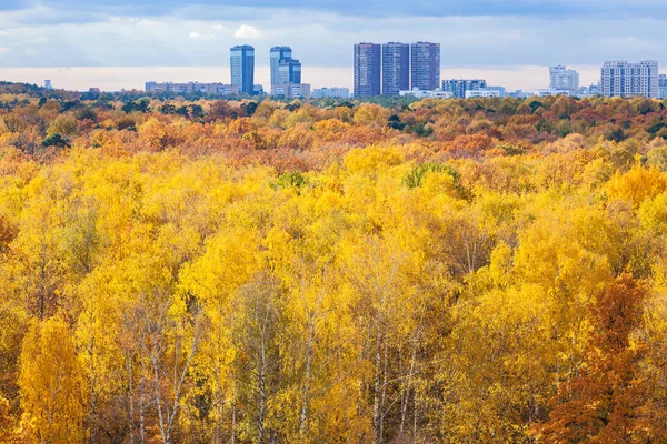 Vista aerea del parco della città gialla in autunno mattina — Foto Stock
