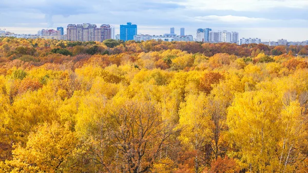 Vista panoramica del parco in soleggiata mattina d'autunno — Foto Stock