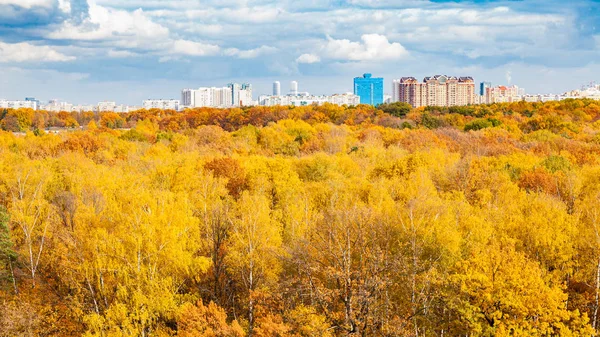 Panoramiczny widok na żółty park miejski jesienią — Zdjęcie stockowe