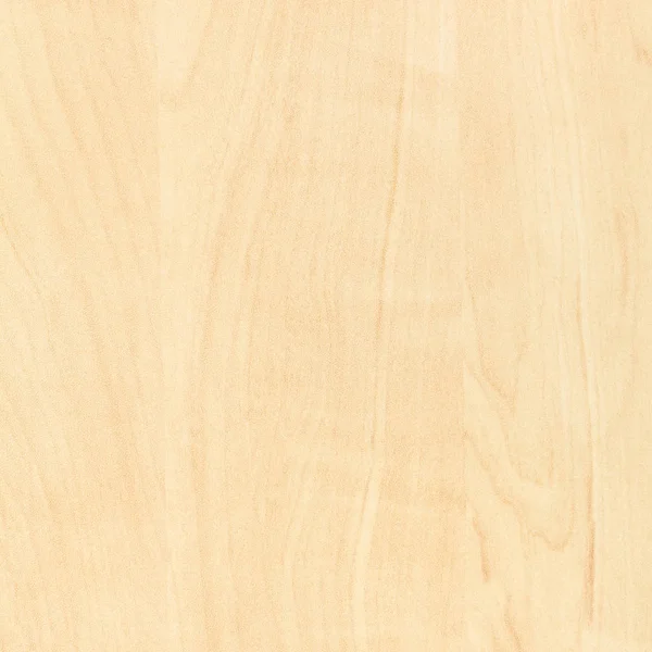 Pannello in laminato con motivo di legno di betulla — Foto Stock