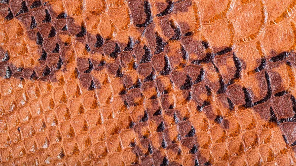 Panoramic background from snakeskin leather Stock Picture