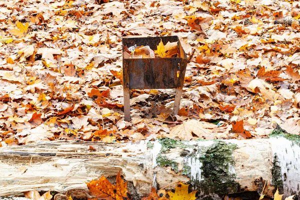 Ржавый гриль на лугу, покрытый опавшими листьями — стоковое фото