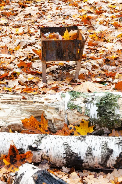 Piccola griglia su prato coperto da foglie cadute — Foto Stock