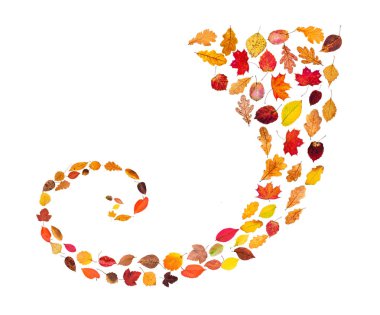 Düşen yapraklardan sarmal süs