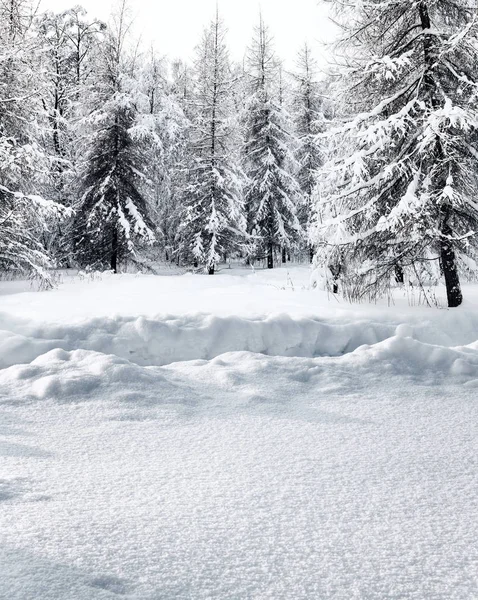 Caminho de inverno em nevascas profundas — Fotografia de Stock